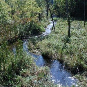 HRWC monitoring site on Hay Creek