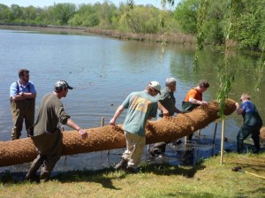 Landscape professionals carrying coir log into Ford Lake shoreline