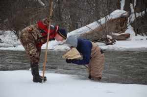 Volunteers and Staff Searching for Stoneflies