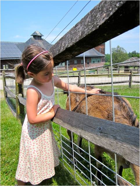 Girl petting goat