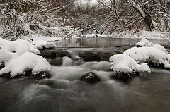 Fleming Creek in winter. Photo: John Lloyd