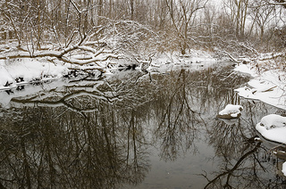 Winter scene in Fleming Creek