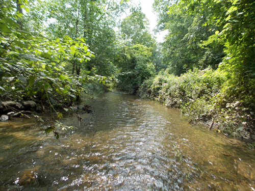 Woods Creek in July! Looks nice, doesn't it?