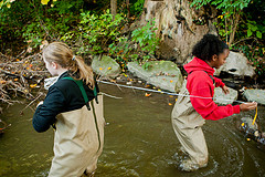 High school students learn by doing water quality monitoring.