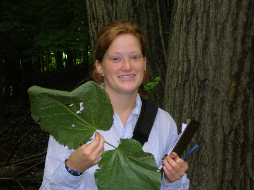 Erin Burkett examines giant leaves on a recent assessment. Can you identify the tree?