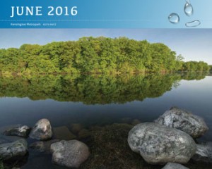 2016-Calendar-June-SM