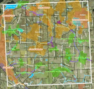 Webster Township partnered with HRWC to create a map showing the network of hubs (larger natural areas), sites (smaller ones) and linkages between them.