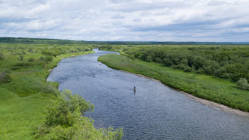 The Ozernaya River, Russia. Credit: Rolf Nylinder.