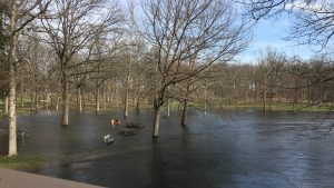 High flows on the Huron River in Dexter Township