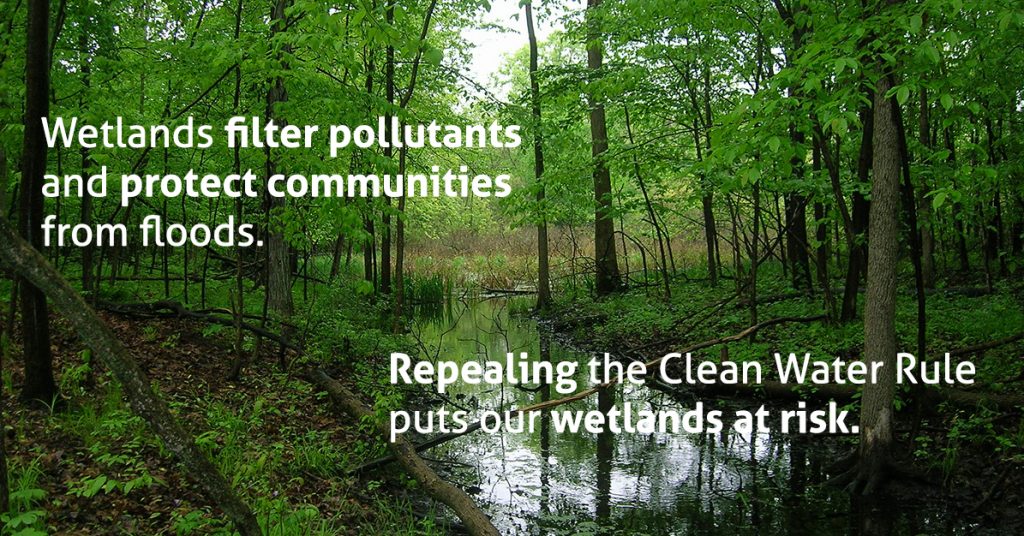 hrwc-clean-water-rule-wetlands
