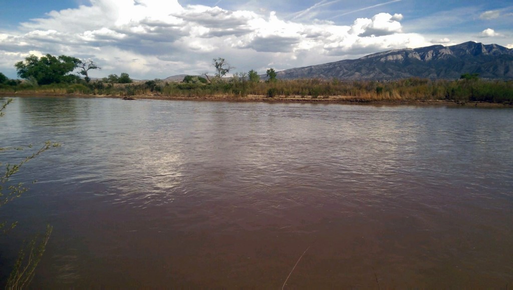 The Rio Grande near Albuquerque, NM