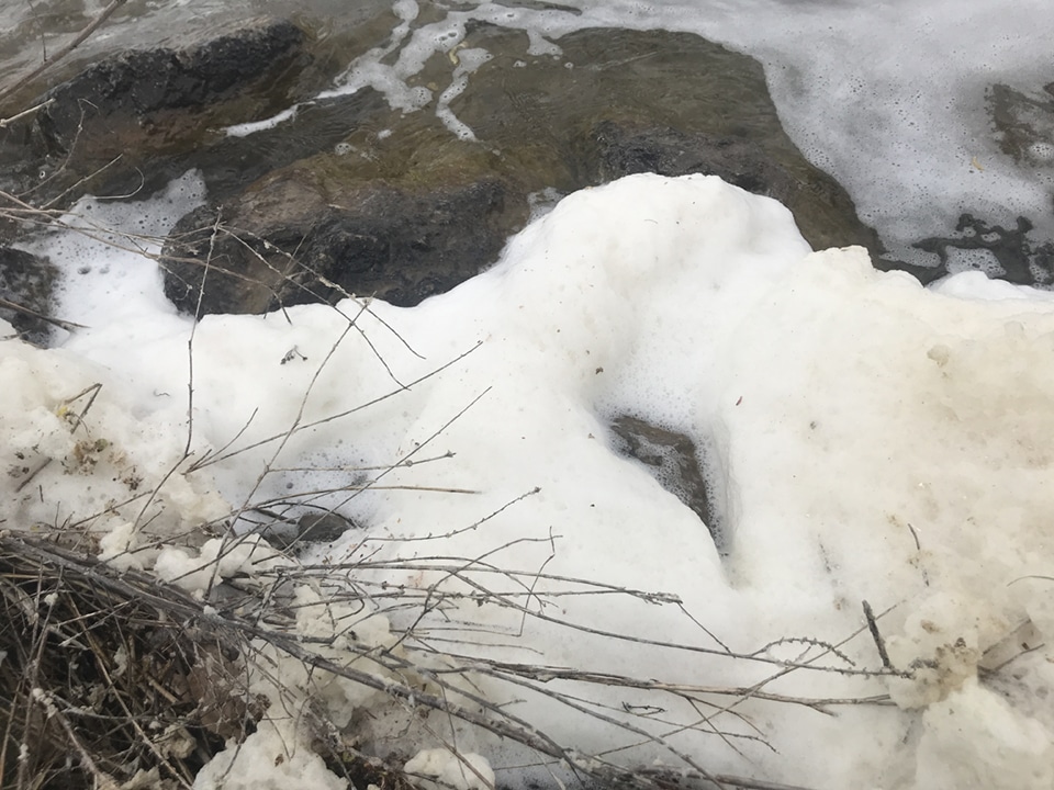 Suspected PFAS foam on Little Portage Lake, May 2020