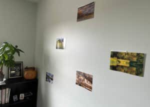 Photo of individual calendar pages hung on an office wall as decor.