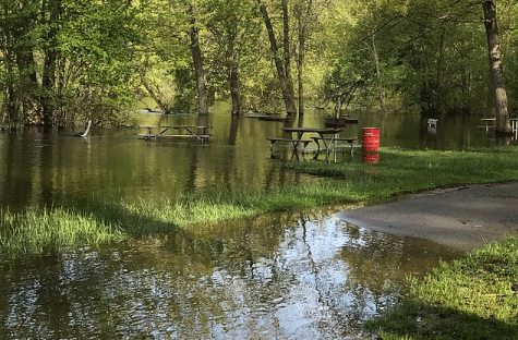 flood event in Dexter Michigan