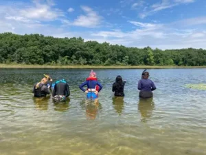 Five people with their backs turned to the camera wade into a lake on a sunny day wearing bathing suits and snorkels in search of freshwater jellyfish.