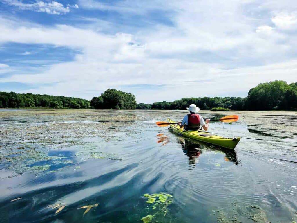 Paddling the Huron River Water Trail